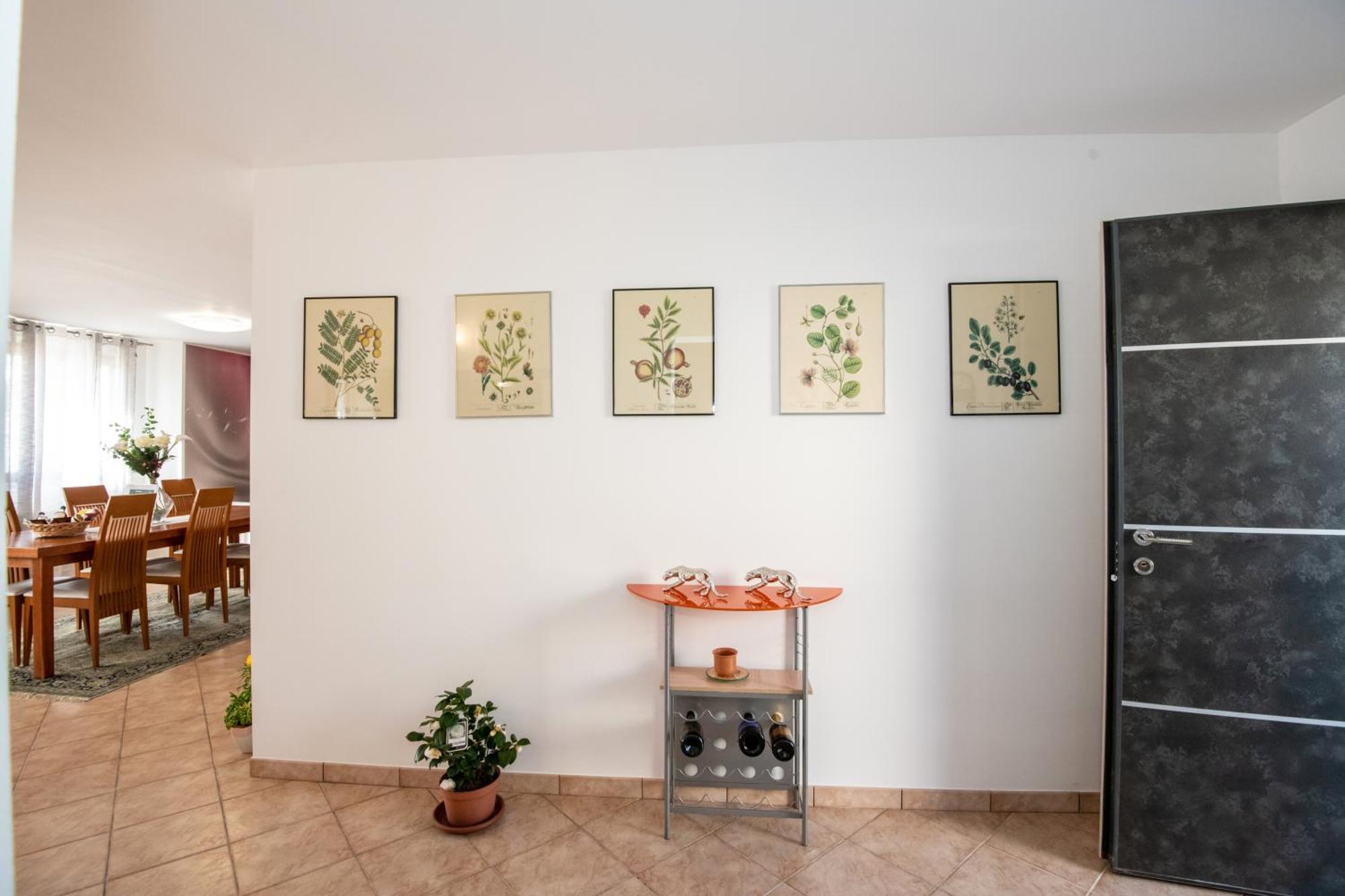 Villa Mastro Oleario 5 Dal Mare 30 Dai Monti Torrevecchia Teatina Zewnętrze zdjęcie